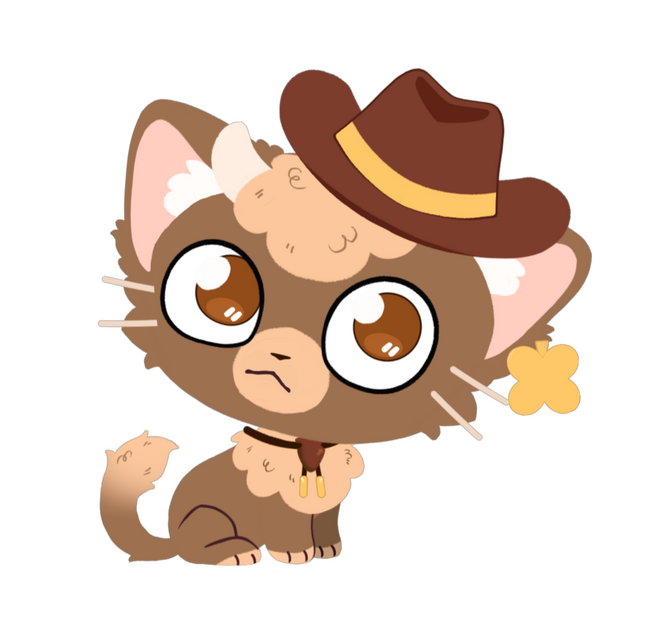 6. Cat